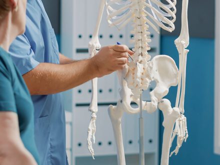 Endoskopik Omurga, Endoskopik Omurga Cerrahisi, Endoskopik omurga ameliyatı, Endoskopik bel fıtığı ameliyatı, Endoskopik boyun fıtığı ameliyatı, Endoskopik kanal daralması ameliyatı, Minimal invaziv omurga cerrahisi, Omurga cerrahisi yöntemleri, Omurga ameliyatı endoskopik teknik, Bel fıtığı endoskopik tedavi, Boyun fıtığı endoskopik tedavi, Spinal endoskopik cerrahi, Endoskopik omurga cerrahisi uzmanı, Endoskopik omurga cerrahisi doktoru, En İyi Endoskopik omurga cerrahisi uzmanı, En İyi Endoskopik omurga cerrahisi doktoru, En İyi Endoskopik cerrahi Doktoru, En İyi Endoskopik cerrahi Uzmanı