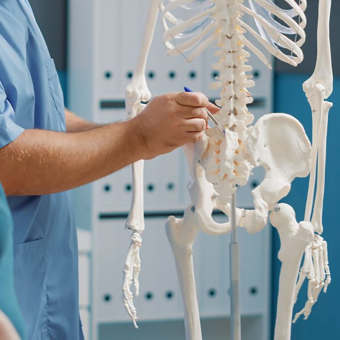 Endoskopik Omurga, Endoskopik Omurga Cerrahisi, Endoskopik omurga ameliyatı, Endoskopik bel fıtığı ameliyatı, Endoskopik boyun fıtığı ameliyatı, Endoskopik kanal daralması ameliyatı, Minimal invaziv omurga cerrahisi, Omurga cerrahisi yöntemleri, Omurga ameliyatı endoskopik teknik, Bel fıtığı endoskopik tedavi, Boyun fıtığı endoskopik tedavi, Spinal endoskopik cerrahi, Endoskopik omurga cerrahisi uzmanı, Endoskopik omurga cerrahisi doktoru, En İyi Endoskopik omurga cerrahisi uzmanı, En İyi Endoskopik omurga cerrahisi doktoru, En İyi Endoskopik cerrahi Doktoru, En İyi Endoskopik cerrahi Uzmanı