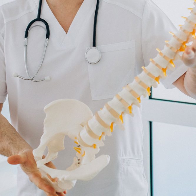 Endoskopik Omurga, Endoskopik Omurga Cerrahisi, Endoskopik omurga ameliyatı, Endoskopik bel fıtığı ameliyatı, Endoskopik boyun fıtığı ameliyatı, Endoskopik kanal daralması ameliyatı, Minimal invaziv omurga cerrahisi, Omurga cerrahisi yöntemleri, Omurga ameliyatı endoskopik teknik, Bel fıtığı endoskopik tedavi, Boyun fıtığı endoskopik tedavi, Spinal endoskopik cerrahi, Endoskopik omurga cerrahisi uzmanı, Endoskopik omurga cerrahisi doktoru, En İyi Endoskopik omurga cerrahisi uzmanı, En İyi Endoskopik omurga cerrahisi doktoru, En İyi Endoskopik cerrahi Doktoru, En İyi Endoskopik cerrahi Uzmanı