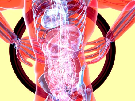 Endoskopik Omurga, Endoskopik Omurga Cerrahisi, Endoskopik omurga ameliyatı, Endoskopik bel fıtığı ameliyatı, Endoskopik boyun fıtığı ameliyatı, Endoskopik kanal daralması ameliyatı, Minimal invaziv omurga cerrahisi, Omurga cerrahisi yöntemleri, Omurga ameliyatı endoskopik teknik, Bel fıtığı endoskopik tedavi, Boyun fıtığı endoskopik tedavi, Spinal endoskopik cerrahi, Endoskopik omurga cerrahisi uzmanı, Endoskopik omurga cerrahisi doktoru, En İyi Endoskopik omurga cerrahisi uzmanı, En İyi Endoskopik omurga cerrahisi doktoru, En İyi Endoskopik cerrahi Doktoru, En İyi Endoskopik cerrahi Uzmanı