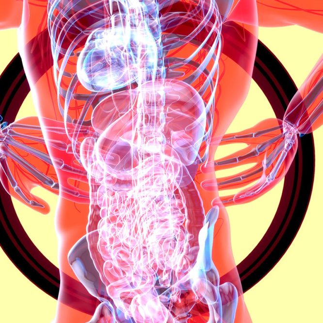 Endoskopik Omurga, Endoskopik Omurga Cerrahisi, Endoskopik omurga ameliyatı, Endoskopik bel fıtığı ameliyatı, Endoskopik boyun fıtığı ameliyatı, Endoskopik kanal daralması ameliyatı, Minimal invaziv omurga cerrahisi, Omurga cerrahisi yöntemleri, Omurga ameliyatı endoskopik teknik, Bel fıtığı endoskopik tedavi, Boyun fıtığı endoskopik tedavi, Spinal endoskopik cerrahi, Endoskopik omurga cerrahisi uzmanı, Endoskopik omurga cerrahisi doktoru, En İyi Endoskopik omurga cerrahisi uzmanı, En İyi Endoskopik omurga cerrahisi doktoru, En İyi Endoskopik cerrahi Doktoru, En İyi Endoskopik cerrahi Uzmanı