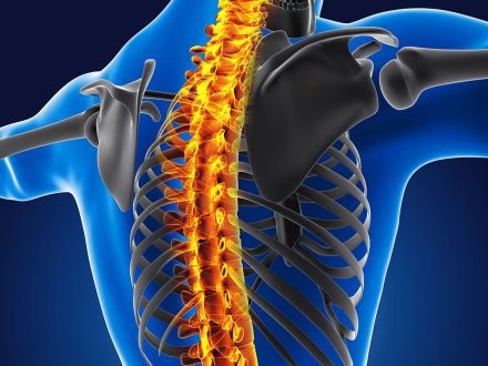 Endoskopik Omurga, Endoskopik Omurga Cerrahisi, Endoskopik omurga ameliyatı, Endoskopik bel fıtığı ameliyatı, Endoskopik boyun fıtığı ameliyatı, Endoskopik kanal daralması ameliyatı, Minimal invaziv omurga cerrahisi, Omurga cerrahisi yöntemleri, Omurga ameliyatı endoskopik teknik, Bel fıtığı endoskopik tedavi, Boyun fıtığı endoskopik tedavi, Spinal endoskopik cerrahi, Endoskopik omurga cerrahisi uzmanı, Endoskopik omurga cerrahisi doktoru, En İyi Endoskopik omurga cerrahisi uzmanı, En İyi Endoskopik omurga cerrahisi doktoru, En İyi Endoskopik cerrahi Doktoru, En İyi Endoskopik cerrahi Uzmanı