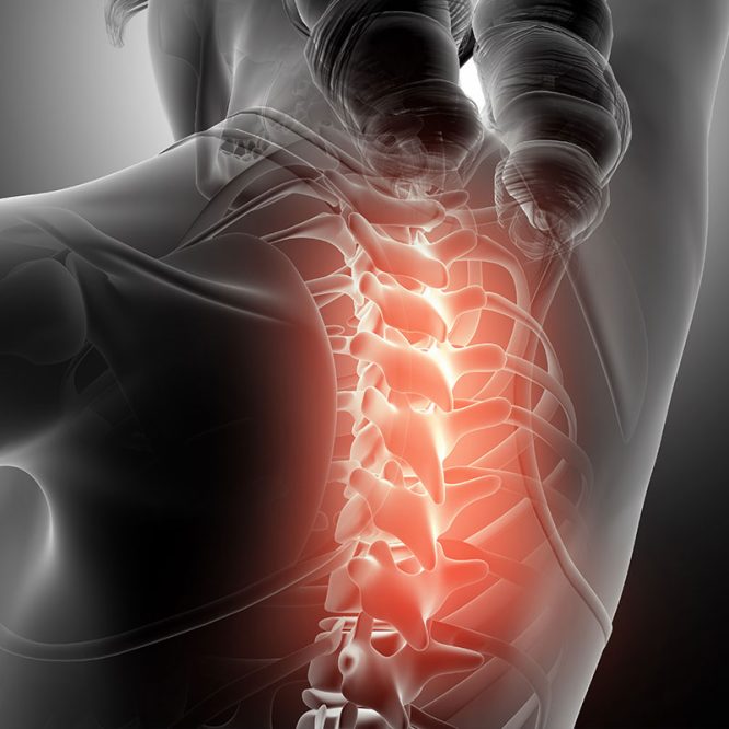 Endoskopik Omurga, Endoskopik Omurga Cerrahisi, Endoskopik omurga ameliyatı, Endoskopik bel fıtığı ameliyatı, Endoskopik boyun fıtığı ameliyatı, Endoskopik kanal daralması ameliyatı, Minimal invaziv omurga cerrahisi, Omurga cerrahisi yöntemleri, Omurga ameliyatı endoskopik teknik, Bel fıtığı endoskopik tedavi, Boyun fıtığı endoskopik tedavi, Spinal endoskopik cerrahi, Endoskopik omurga cerrahisi uzmanı, Endoskopik omurga cerrahisi doktoru, En İyi Endoskopik omurga cerrahisi uzmanı, En İyi Endoskopik omurga cerrahisi doktoru, En İyi Endoskopik cerrahi Doktoru, En İyi Endoskopik cerrahi Uzmanı