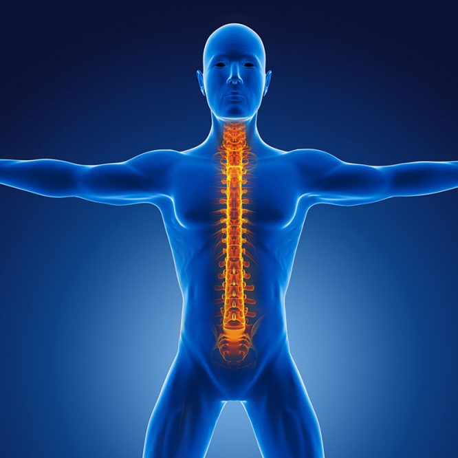 Endoskopik Omurga, Endoskopik Omurga Cerrahisi, Endoskopik omurga ameliyatı, Endoskopik bel fıtığı ameliyatı, Endoskopik boyun fıtığı ameliyatı, Endoskopik kanal daralması ameliyatı, Minimal invaziv omurga cerrahisi, Omurga cerrahisi yöntemleri, Omurga ameliyatı endoskopik teknik, Bel fıtığı endoskopik tedavi, Boyun fıtığı endoskopik tedavi, Spinal endoskopik cerrahi, Endoskopik omurga cerrahisi uzmanı, Endoskopik omurga cerrahisi doktoru, En İyi Endoskopik omurga cerrahisi uzmanı, En İyi Endoskopik omurga cerrahisi doktoru, En İyi Endoskopik cerrahi Doktoru, En İyi Endoskopik cerrahi Uzmanı